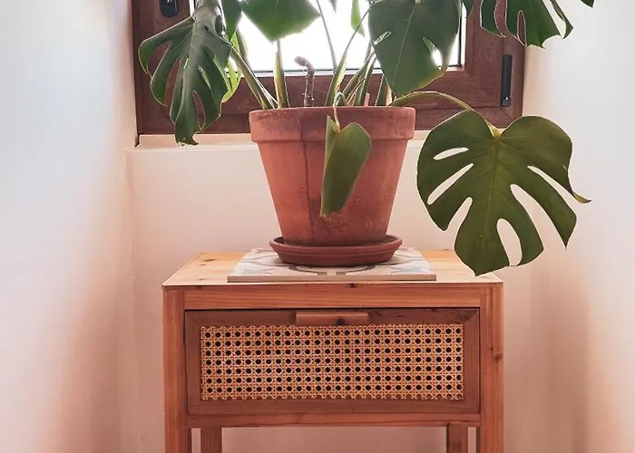 Algarve Windmill, And Pool 2000m To The 別荘