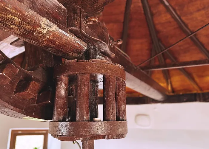 Algarve Windmill, And Pool 2000m To The 別荘 *